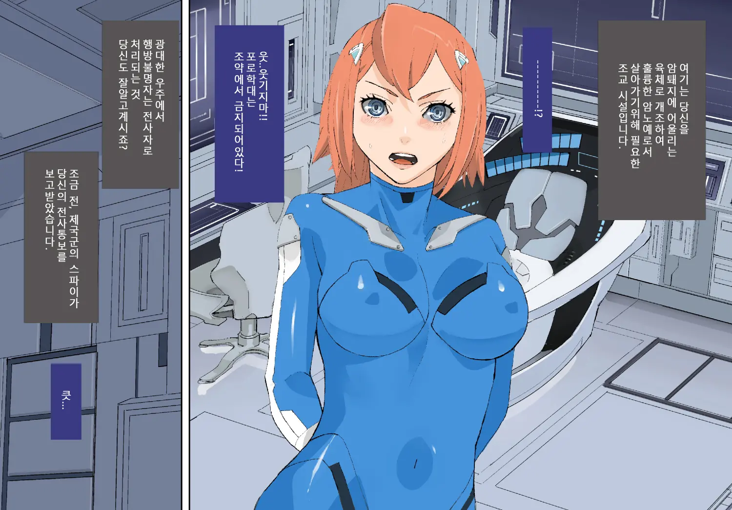Toraware No Prizet ~Mesubuta Nikutai Inka Kaizou Keikaku~